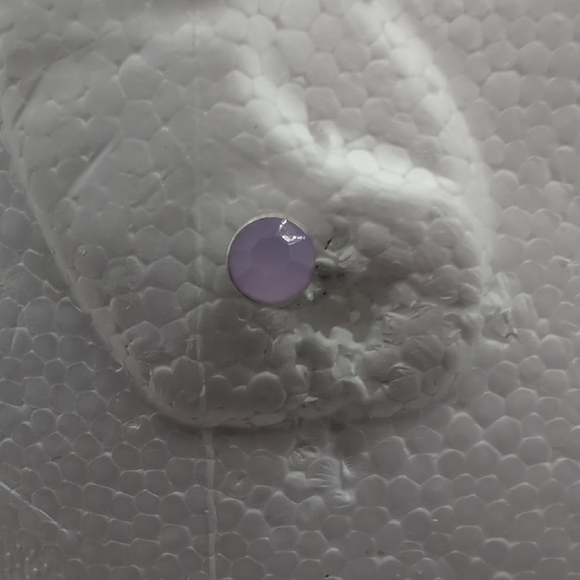 Jewelry - Silver Toned Purple Round Focus Stud Earring